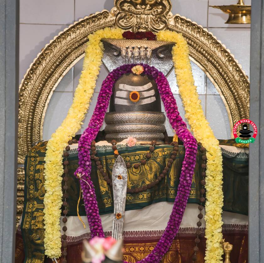 Vaidaynatha Swamy (Lord Siva)